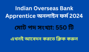 Indian Overseas Bank Apprentice